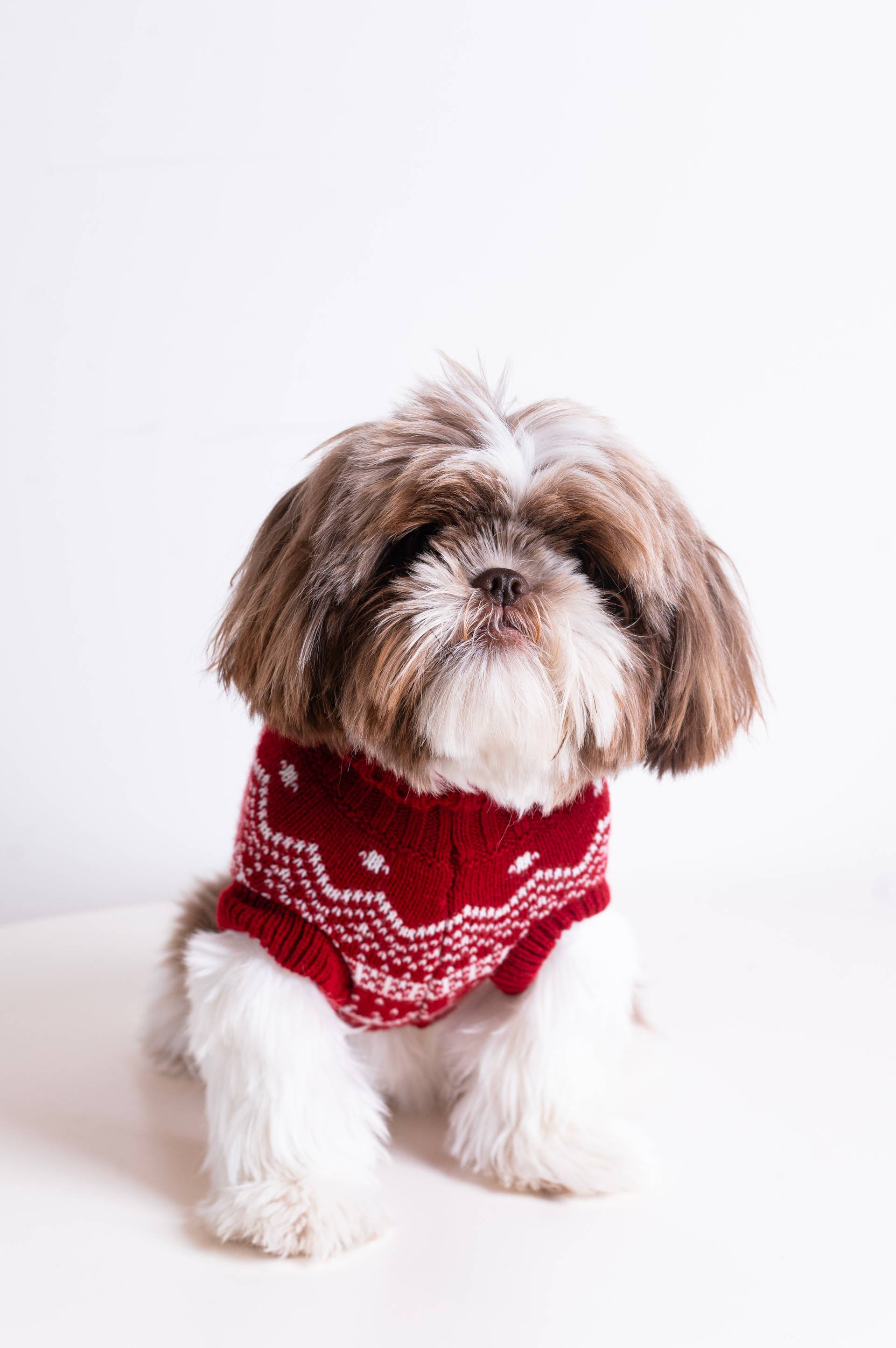 Onepiece The Dog Holiday Onesie Red - 4