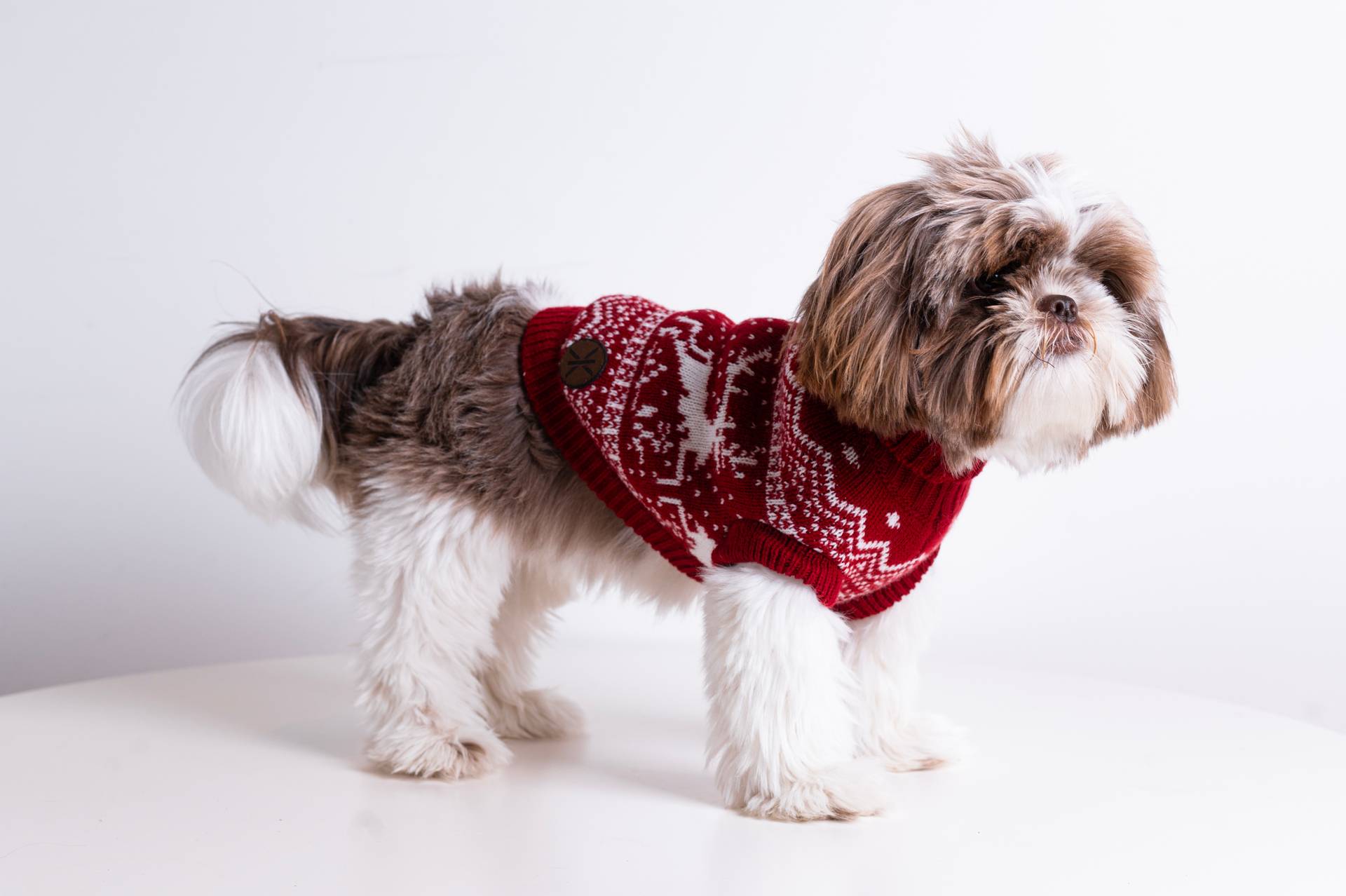 Onepiece The Dog Holiday Onesie Red - 2